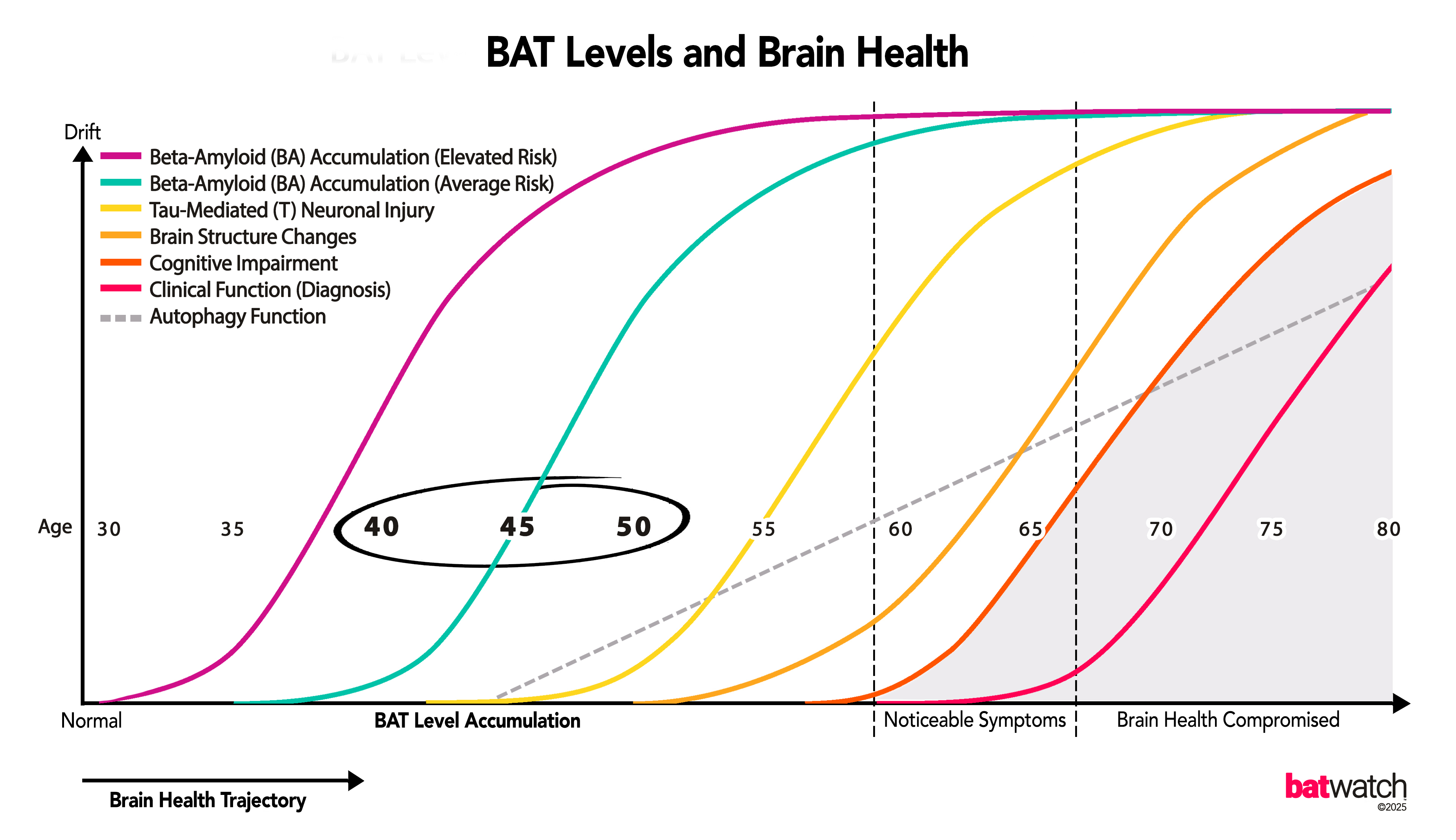 Chart showing BAT Level accumulation appearing earlier than later brain health changes across age.